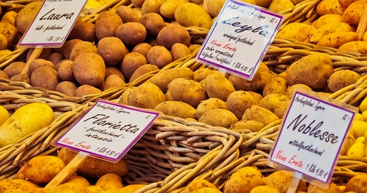 Contrata un mercadillo para tu evento sin confundir permisos