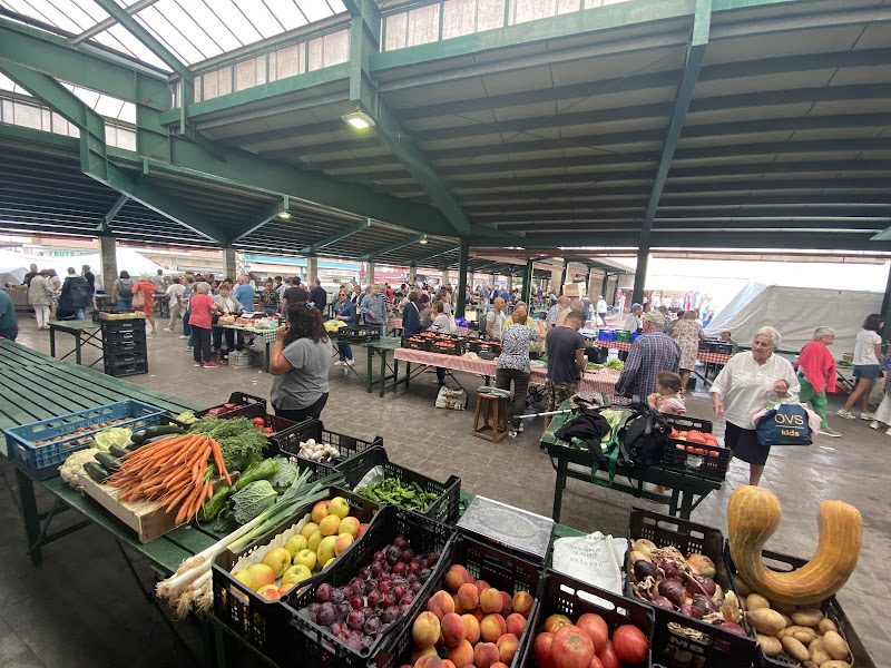 Gernikako Merkatua en Gernika-Lumo: Mercadillo semanal