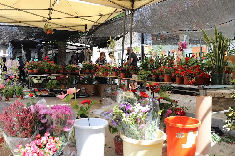 Mercadillo de Chiva en Chiva: Mercadillo semanal